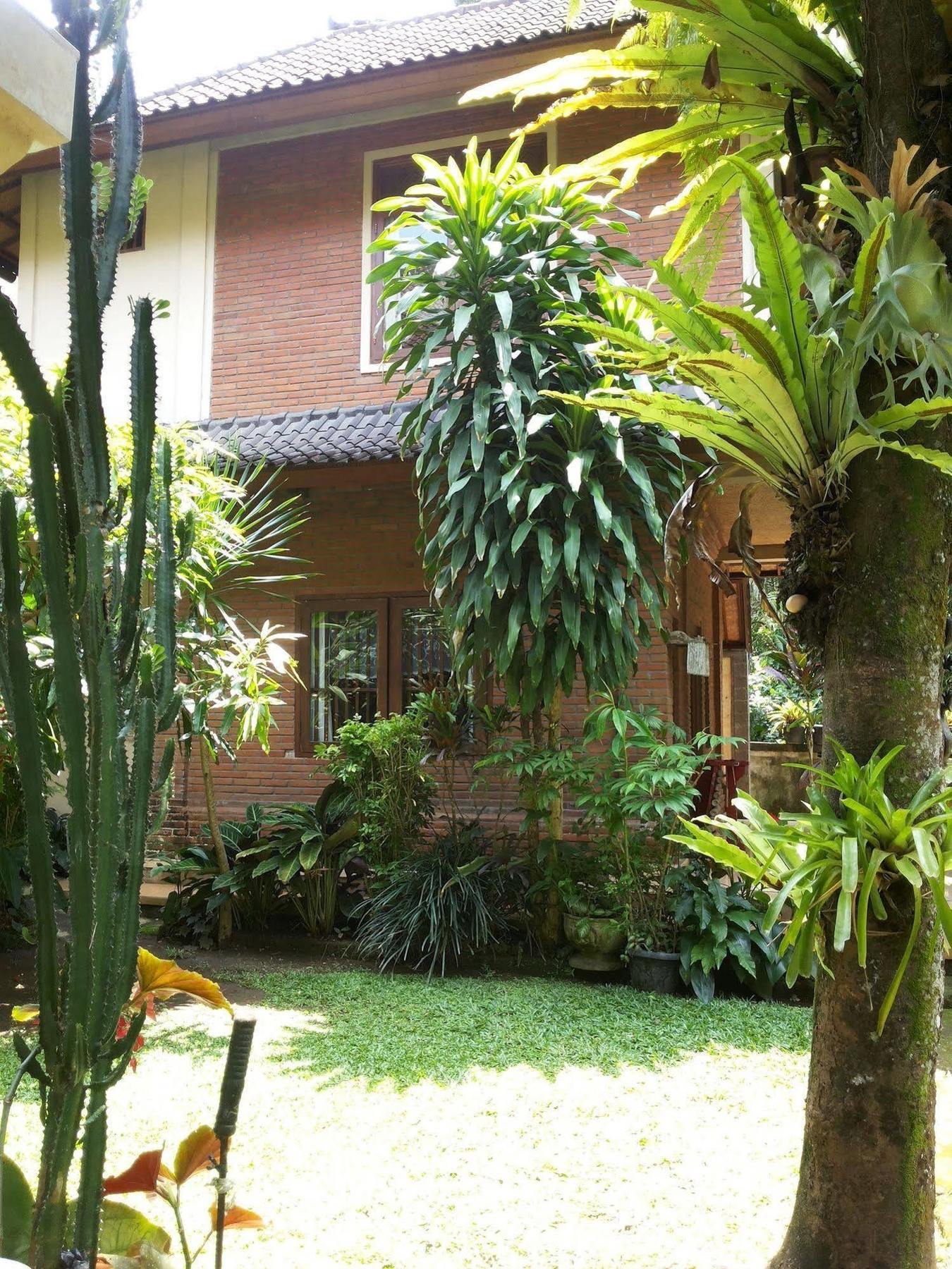 Ben'S Homestay Ubud  Exterior photo