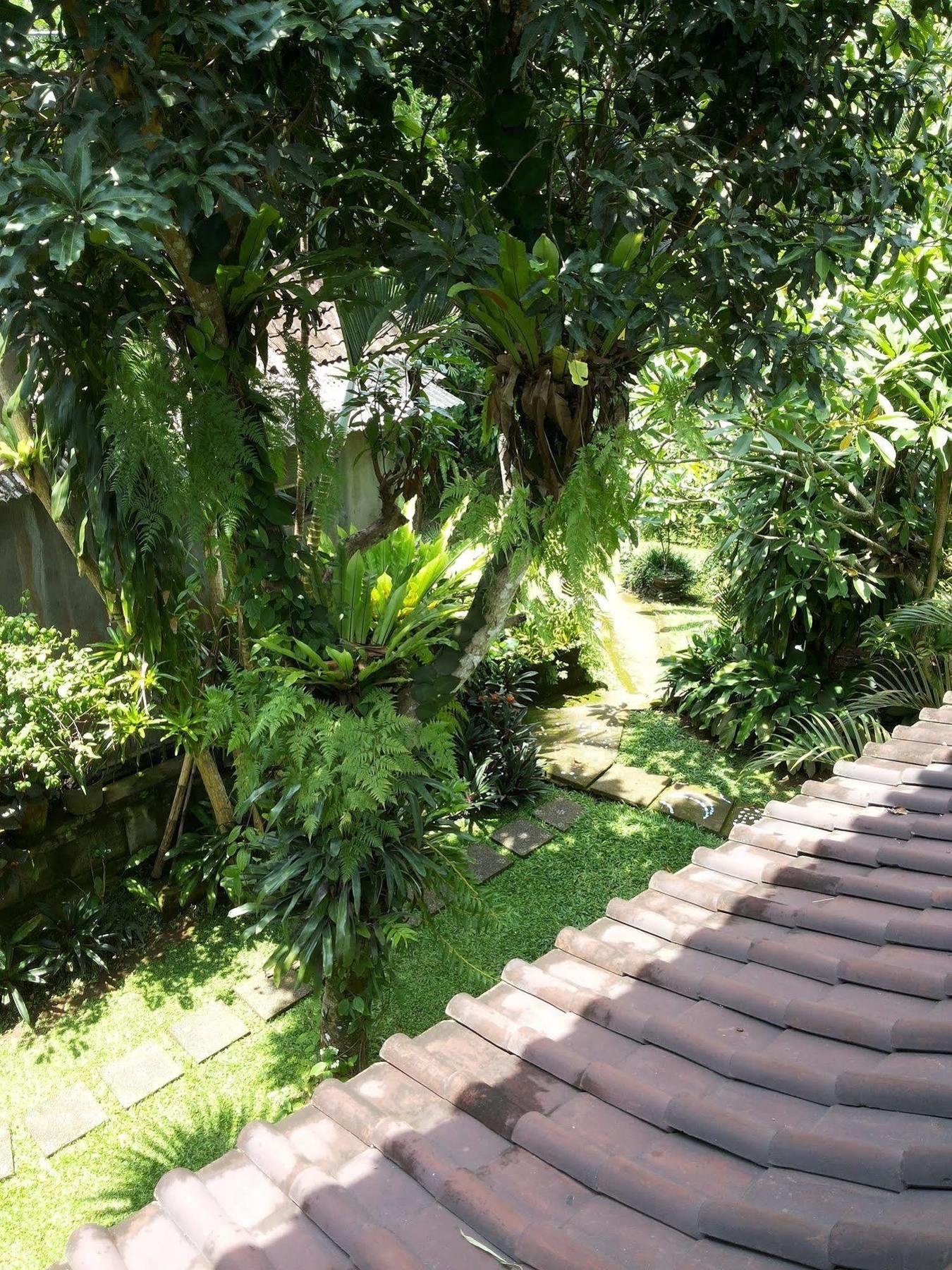 Ben'S Homestay Ubud  Exterior photo